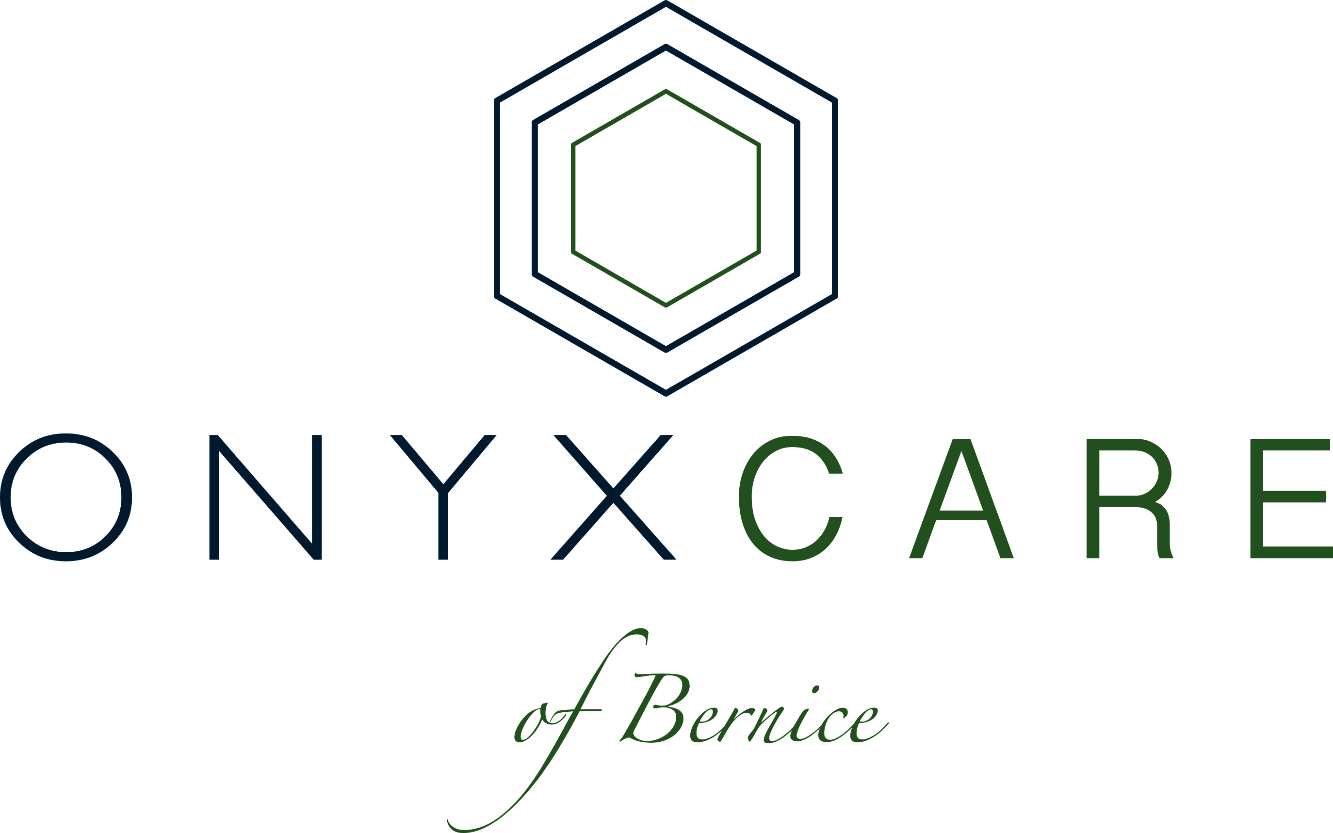 Onyx Care workplace 1