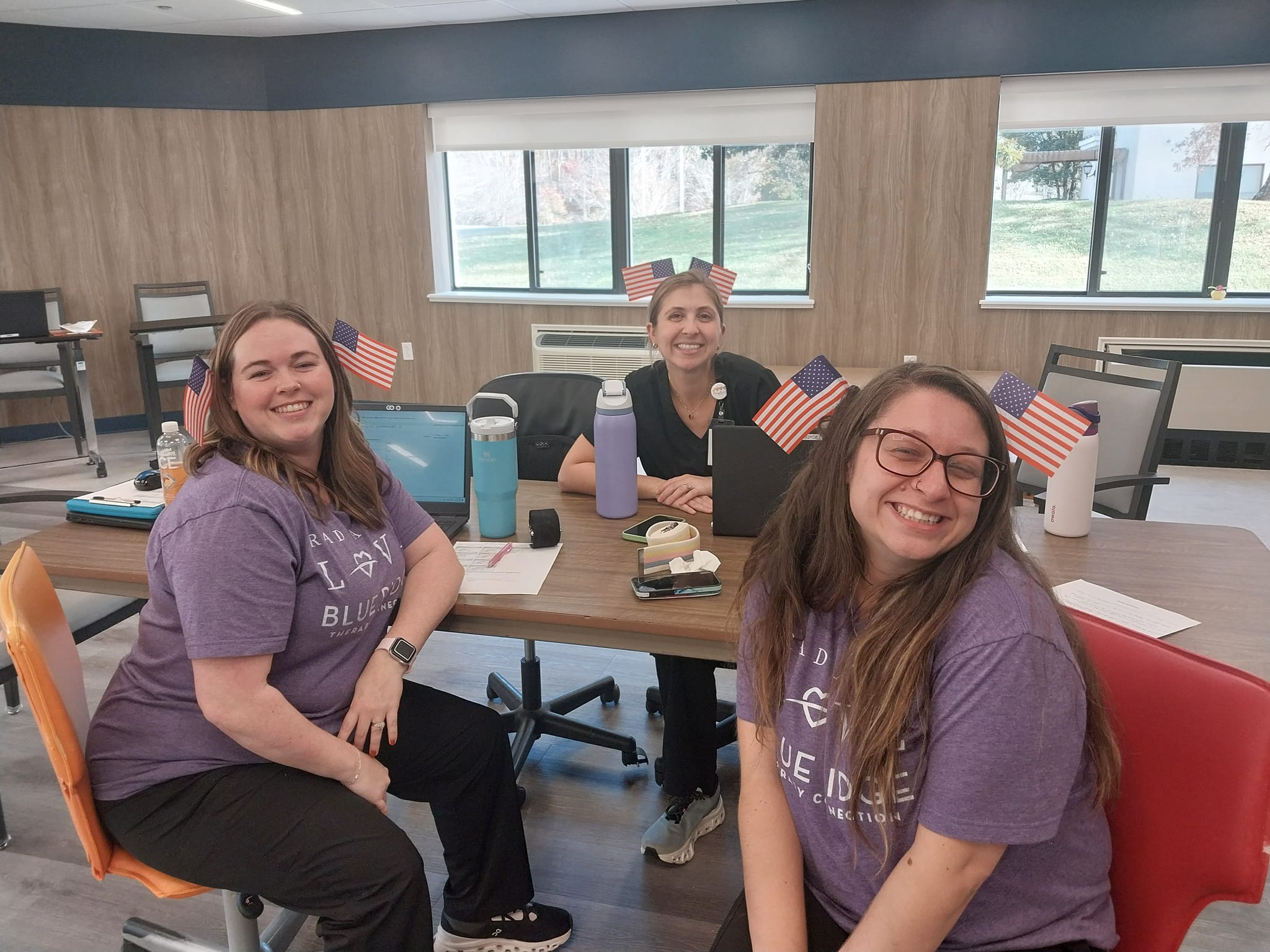Blue Ridge Therapy Connection workplace 2