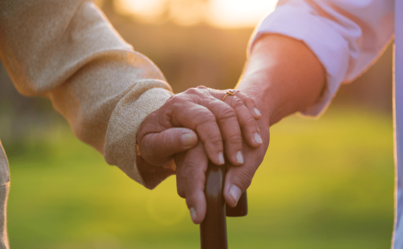 Seniors Helping Seniors Pittsburgh Northeast workplace 1