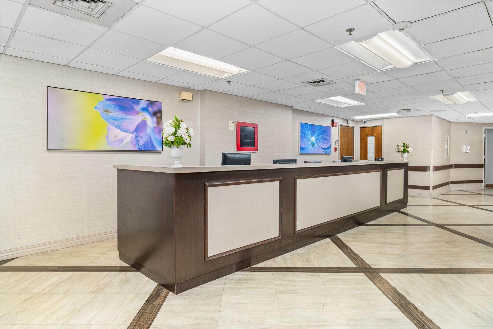 Elevate Care South Holland workplace 5