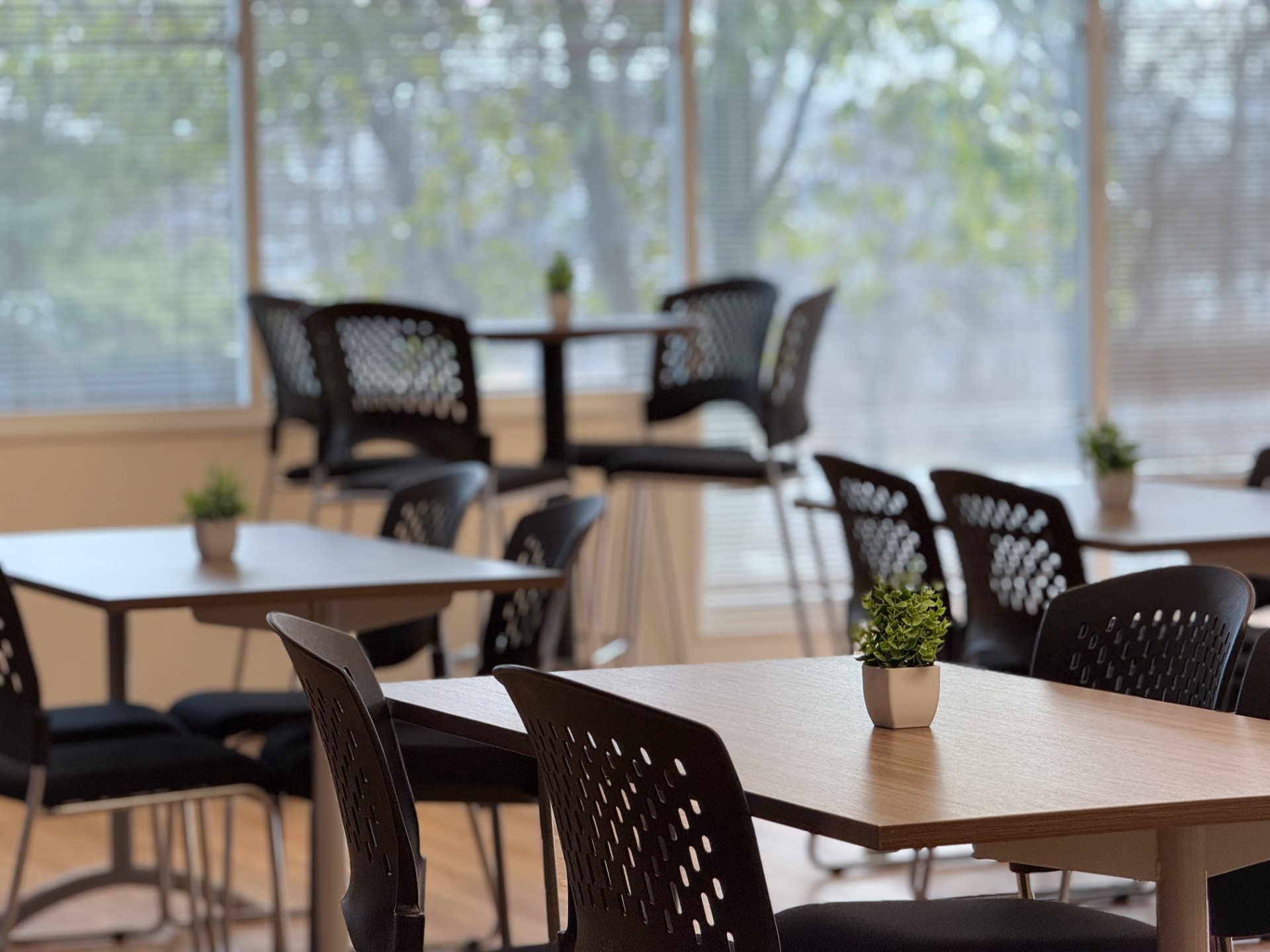 Hope's Destiny workplace 2