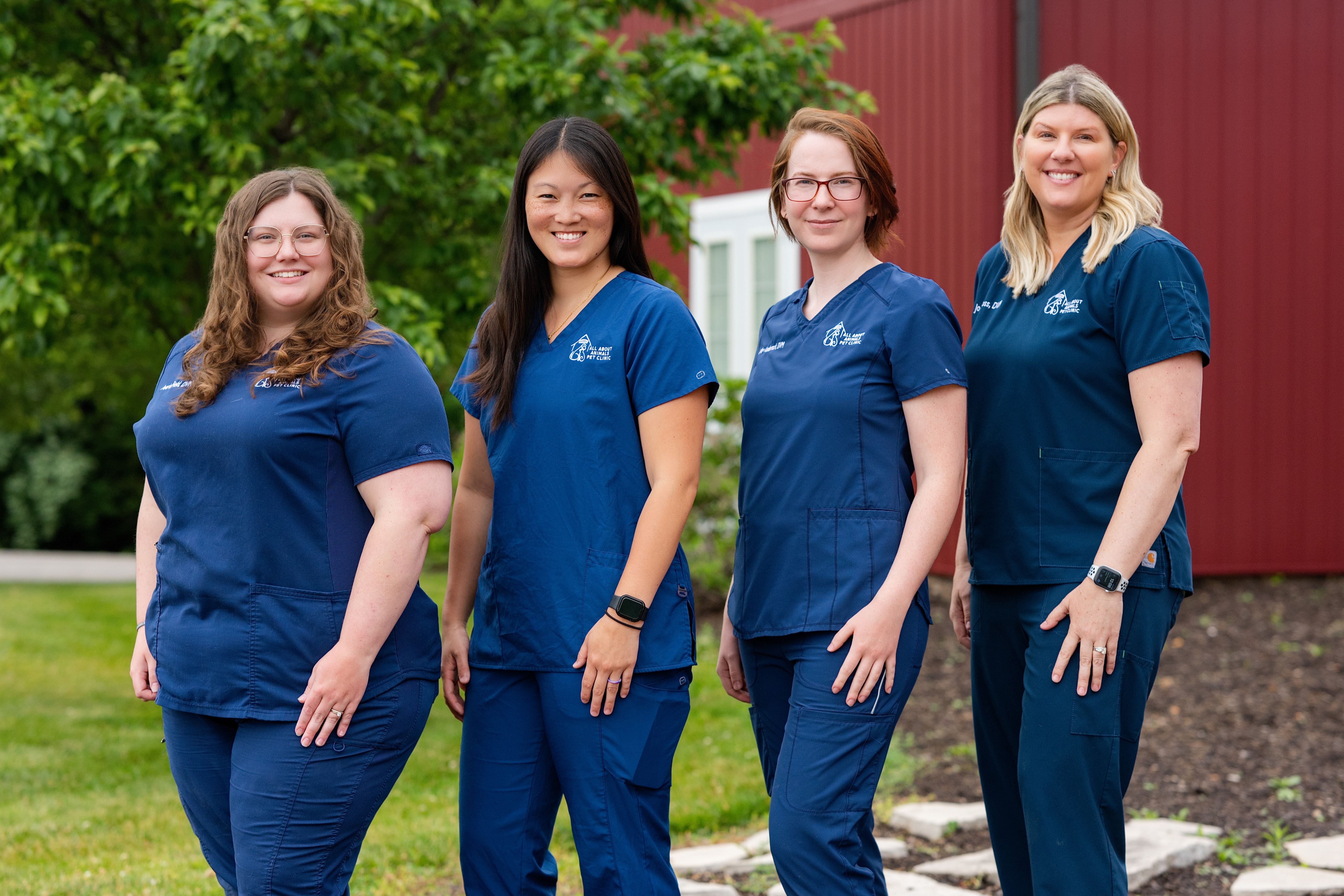 All About Animals Pet Clinic workplace 2