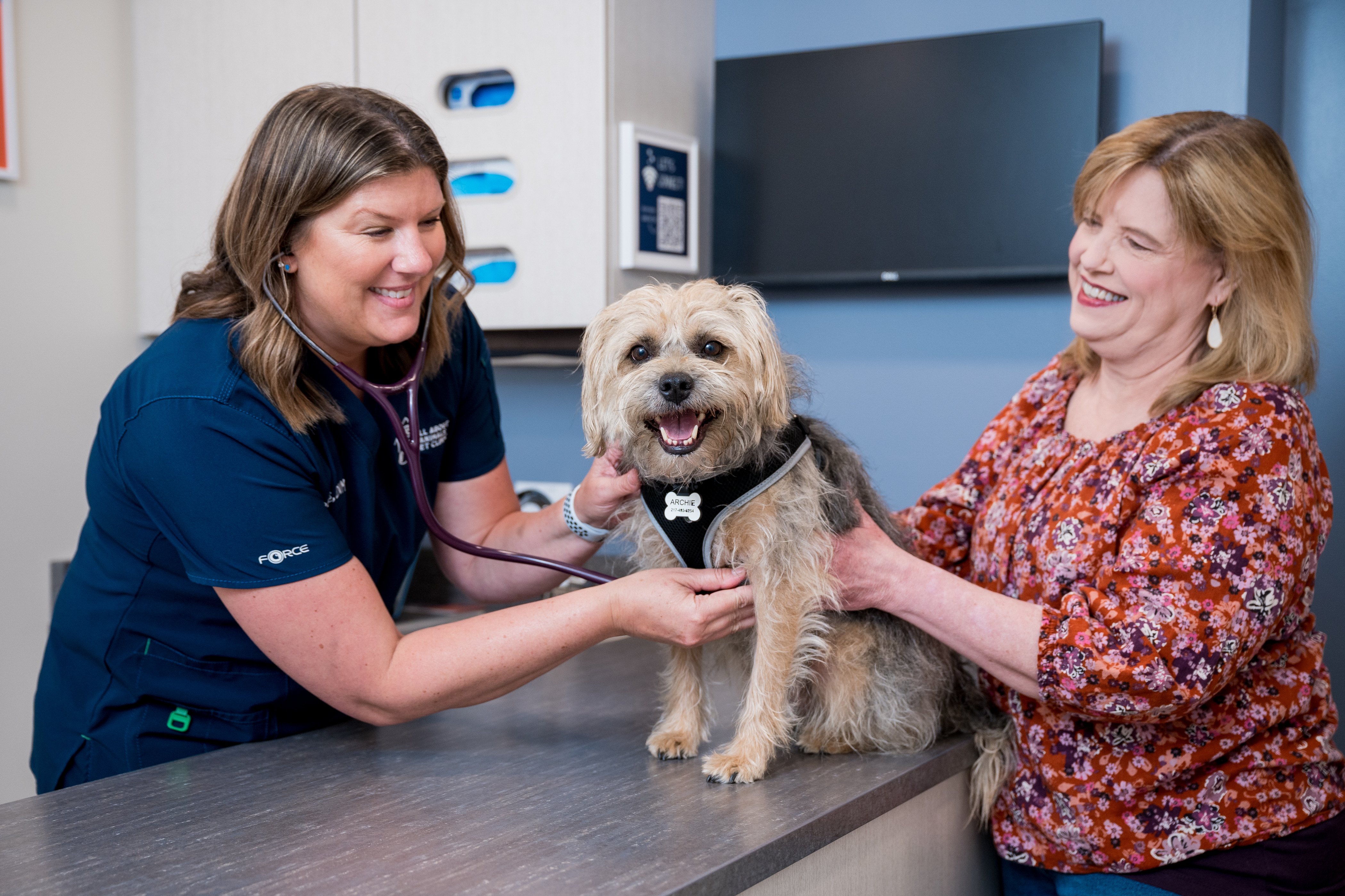 All About Animals Pet Clinic workplace 3