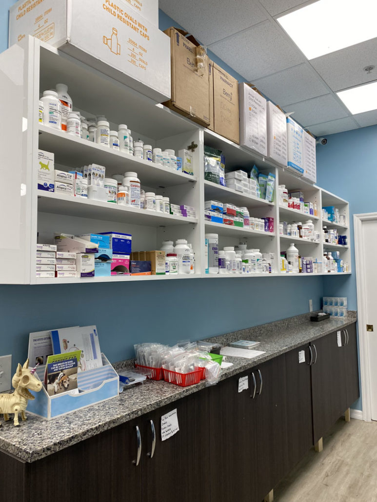 Affordable Pet Hospital workplace 6