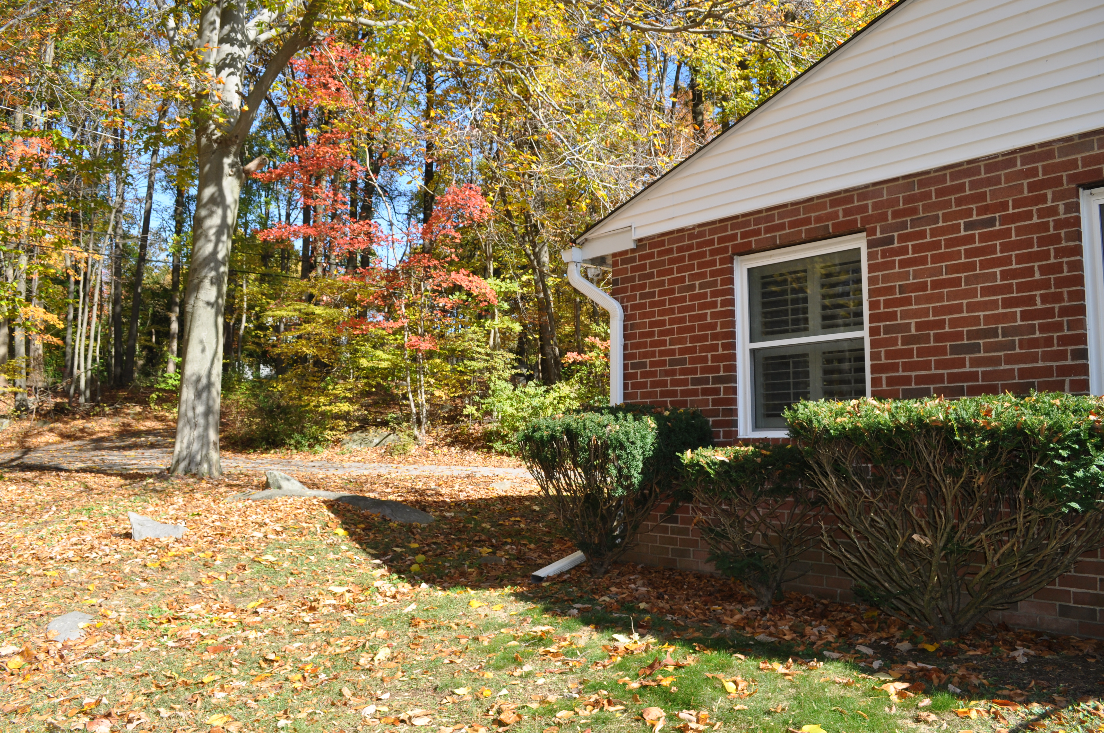 Kadima at Pottstown workplace 1