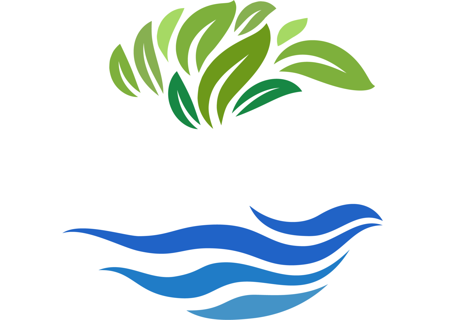 Front Desk Receptionist - Apply Now