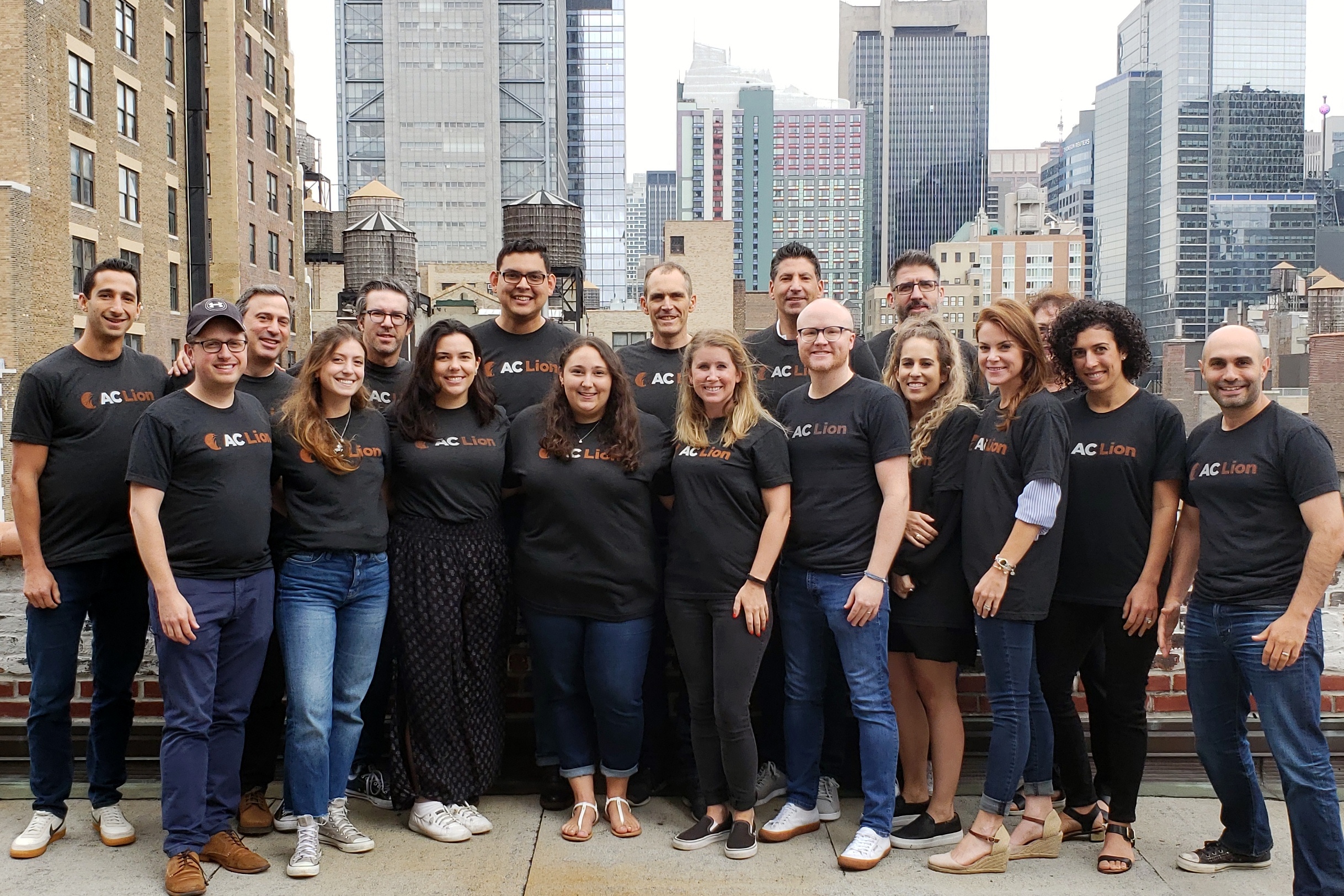 AC Lion workplace 5