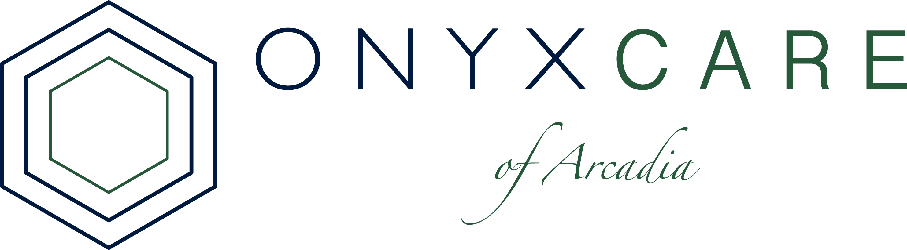 Onyx Care workplace 1