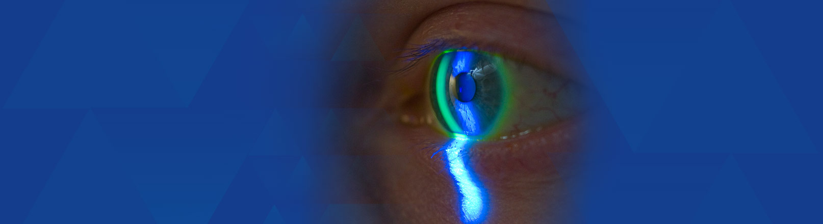 Eye to Eye Careers workplace 1